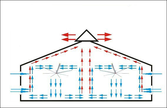 大型工業吊扇循環氣流 大型工業吊扇循環氣流
